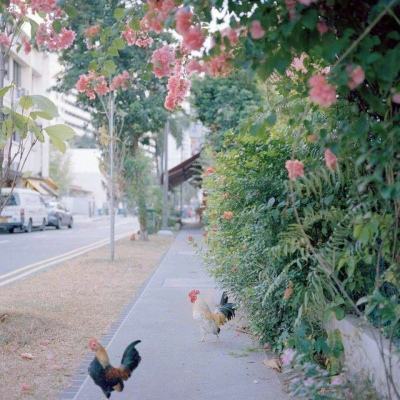 8188www威尼斯下载手机版