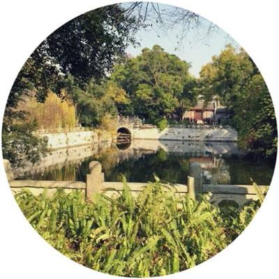 乐鱼平台app下载官网